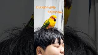 뚜비야 들어가서자...떨어지겠다#잠자는 #썬코뉴어#나 …