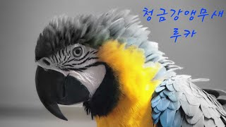 재미없는 청금강앵무새 루카의 일상