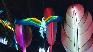 Blue &amp; Gold Macaws, Green …