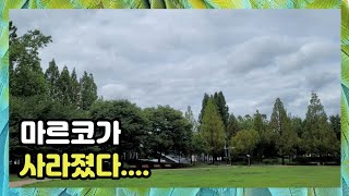 [할리퀸마카우 마르코] 마르코가 사라졌다......  (feat. 소오름)