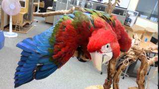 날라라~ 홍금강 홍금이~~~