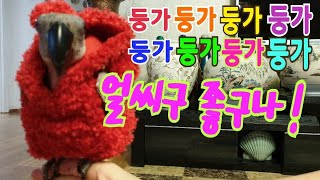 예뻐서 좋아서 기뻐서 흘리는 눈물입니다~chirping…