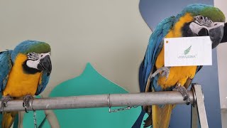 청금강 데리고 아마조나 다녀왔습니다!!