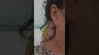 MY baby ~ #birds #parrot #cute…