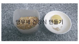 앵무새 건강식 만들기