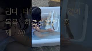 #앵무새 #코뉴어 #일상 #birds #물놀이 #ㅋㅋ시…