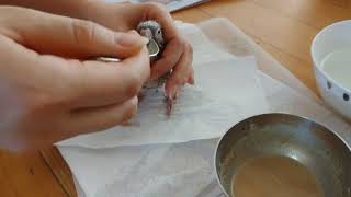 앵무새이유식먹이기