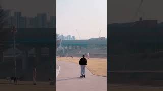 앵무새 자유비행 청금강 겨울이 가을이 #마카우 #앵무새…