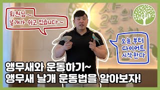 [앵무새키우기]우리 집 앵무새가 운동 부족?! 이 영상으로 앵무새와 같이 운동해요!