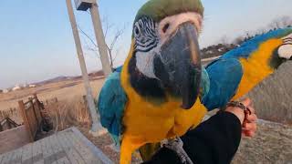 영종도 씨사이드파크에서 청금강 날려봤습니다!!