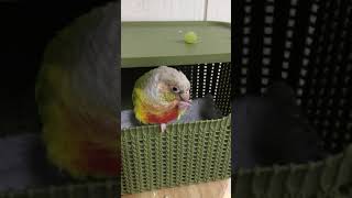 ‪여기는 소망이 별장‬(코뉴어)