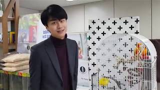 앵무새 키우기#1_ 코뉴어 새장편! 코뉴어에게 적합한 새장은 무엇일까?