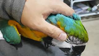 청금강 하늘이 애교가 좔좔..