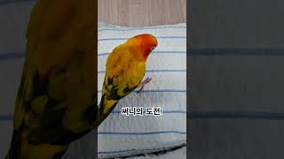 써니야 철인3종 경기에 나가도 될것 같아!  #썬코뉴어…