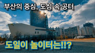 ENG) [청금강/macaw] 부산 중심가에 앵날리기 …