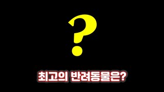 최고의 반려동물은??