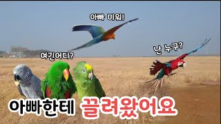 갑자기 고속도로를 타버린 아빠 / 태풍급 칼바람에 맞서…