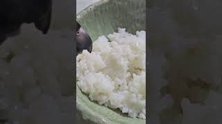 #앵무새 #한스마카우 #지루비 @ 13세. 남자. 갓 …