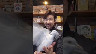 마술사 친구들 bim bap boom boom boom bopbam #마술사 #magic #콜덕 #청금강 #토끼