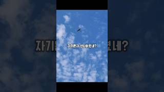 매 아니에요~ 앵무새 맞아요 완전 신나서 연처럼 날아다…