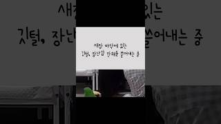 [지구] 청소하는 엄마를 본 앵무새의 반응 / 참견쟁이…