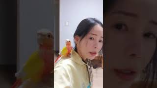 코뉴어앵무새(무편집동영상)Vlog__행자 혼자탈출/언니…