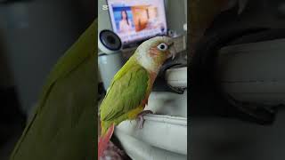 애플이의 새로운 놀이터