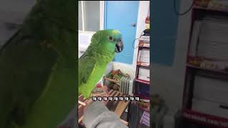 ㅋㅋㅋㅋㅋ 노래 겁나 잘부르는 앵무새가 있다고!?!?