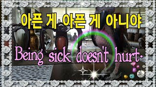 루비야~아프면 아프다고 말해라~[연구대상앵무새똘이]