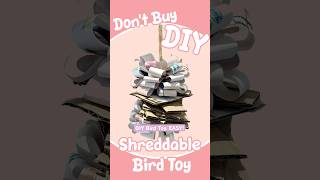 Conure DIY Shreddable Toy | DIY 코뉴어 장난감 #conure #parrot #diy #코뉴어 #앵무새