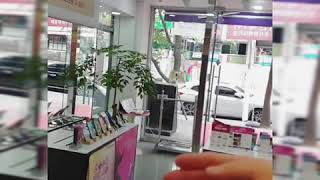 날아라 코카투~~ 앵무새 호출 훈련