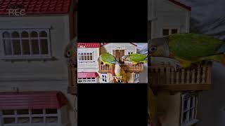 [아가코뉴어×실바니안]  항마력 테스트가 되♡ 끝까지 …