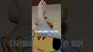 chill무새 #앵무새 #parrot #썬코뉴어 #코뉴어 #chillguy