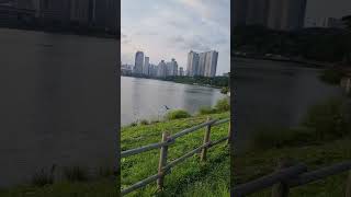 노을 비행 #자유비행 #청금강앵무새