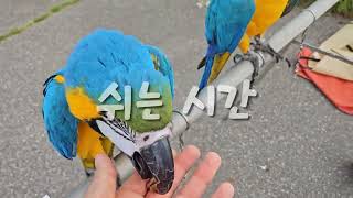 청금강 자유비행 feat.도자공원