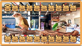 사이좋은 코뉴어 부부의 간식 타임~~