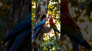 The Absurd Parenting Styles of…