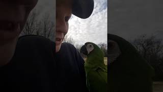 Brief view of the windy walk w…