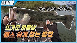 무더운 여름, 배스가 많은 곳을 찾는 방법은?, 탑정호…