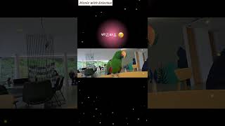 [Parrot  STORY] #parrot #eclec…