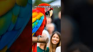 (유모 조크) 룸살롱 앵무새