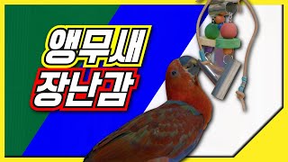 앵무새 장난감 놀기!