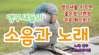 노래할줄 아는새와 떠드는새  (산토끼 노래하는 퀘이커 단추)