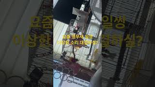 #parrot #앵무새 #모란이피기까지는 #코뉴어 #반…