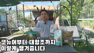 코뉴어부터 대형조까지 먹을수 있는 사료 #bird #p…