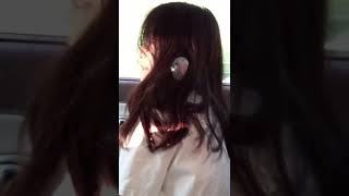 #앵무새 모르시나요 #집사 머리에 둥지튼 앵무새 #퀘이…