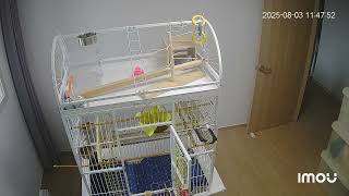 딸기퀘이커 #엄마뽀뽀#