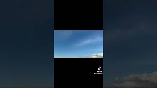 First Freeflight Phoenix the G…