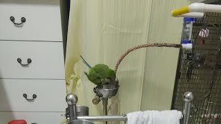 올만에 잠시 생방