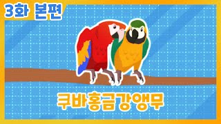 다이노맨 3화 쿠바홍금강앵무 본편!…